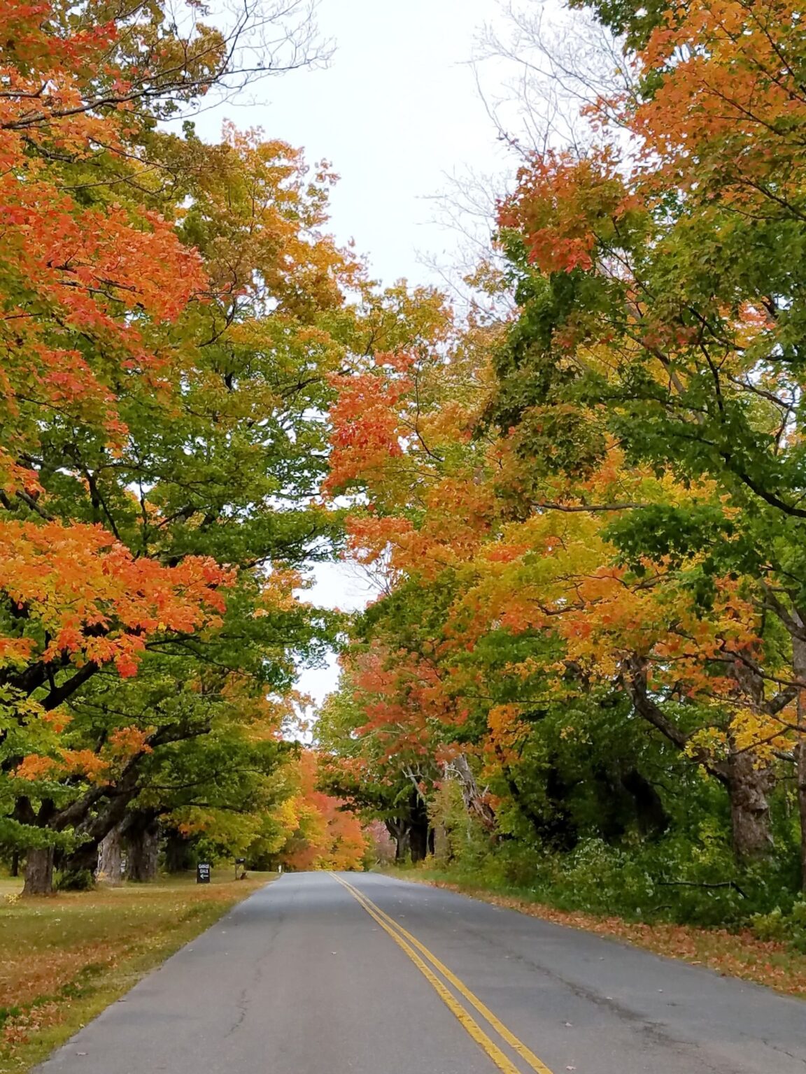 Westfield, Vermont Official Municipal Website