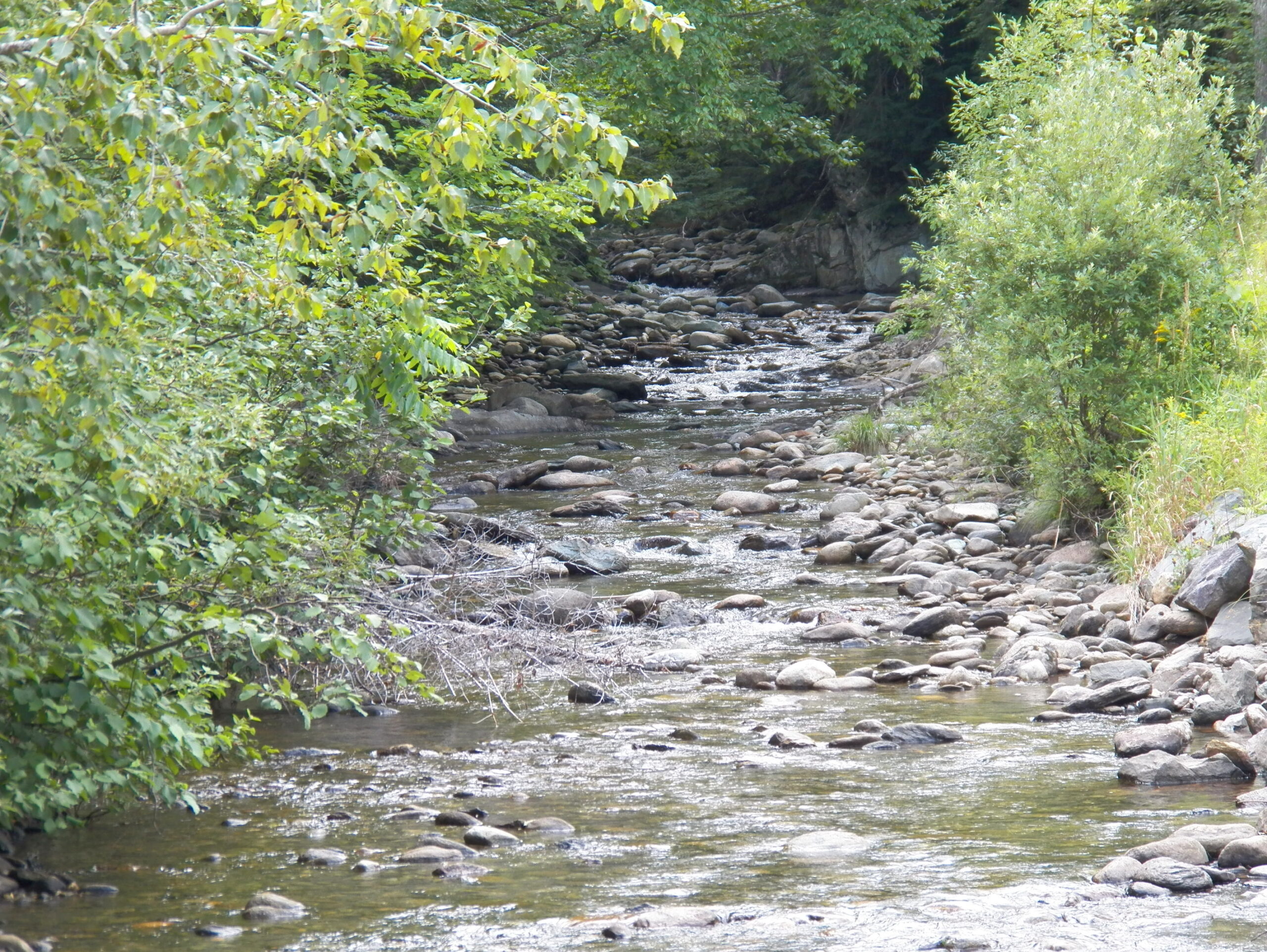 Westfield, Vermont Official Municipal Website